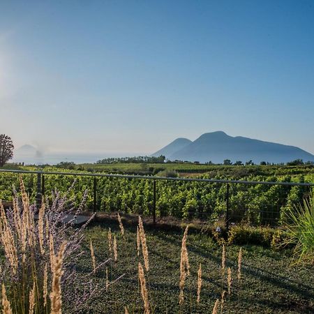 Tenuta Di Castellaro Winery & Resort Липари Экстерьер фото